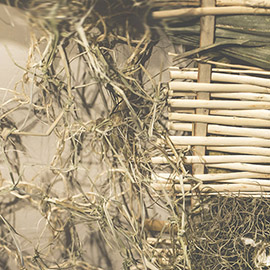  Cosecha Vintage